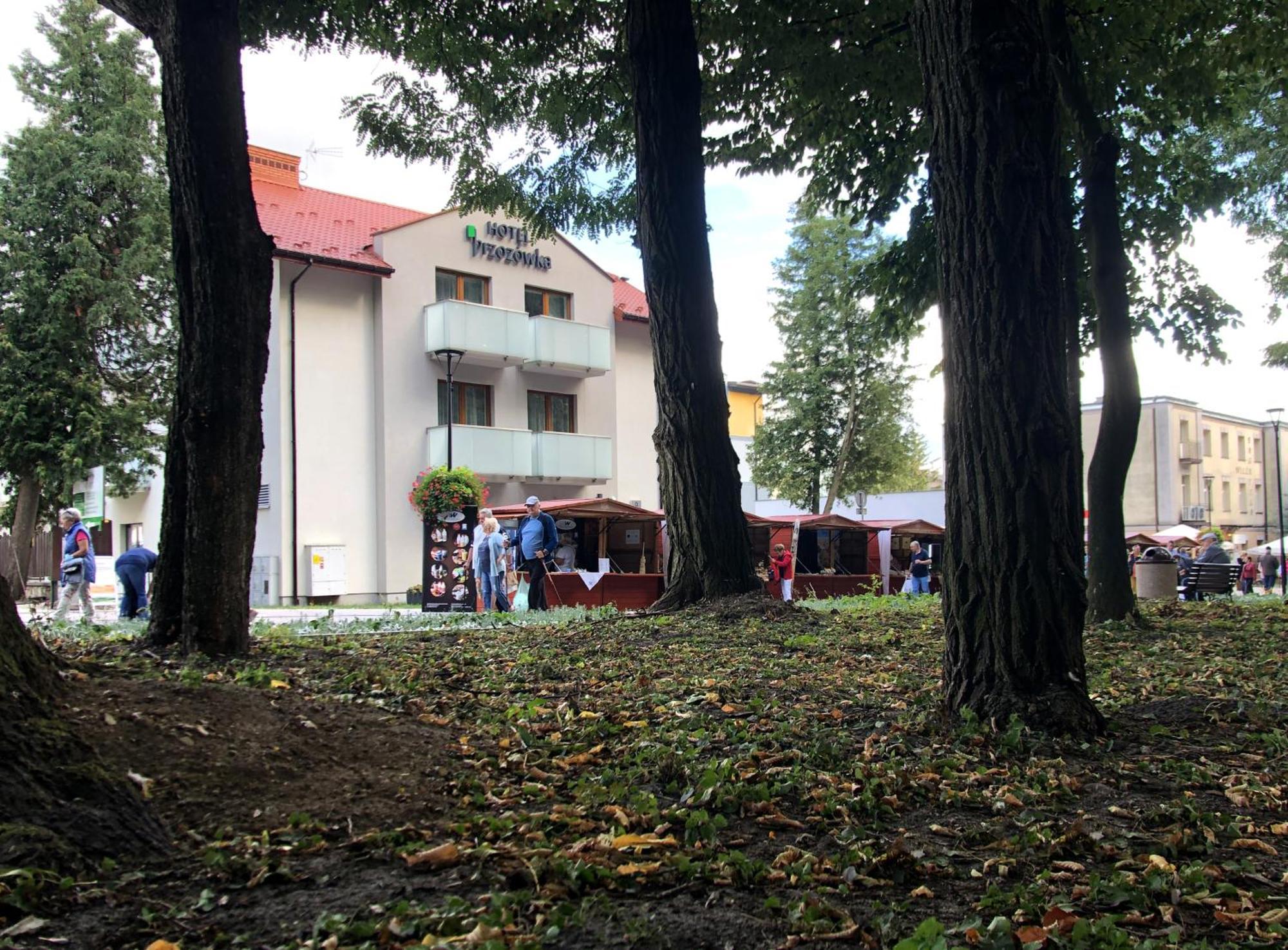Hotel Brzozowka Busko-Zdrój Exterior foto
